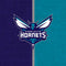 NBA Charlotte Hornets Canvas Xbox 360 Slim (2010) Skin